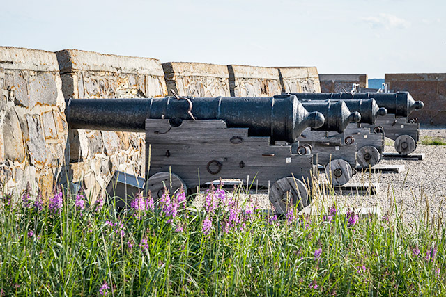 Cannons lined up in a row aimed through a stone wall.