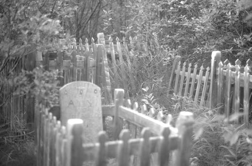 A gravestone surrounded by a small fence is in the foreground. Additional fences and tall plants are in the background.