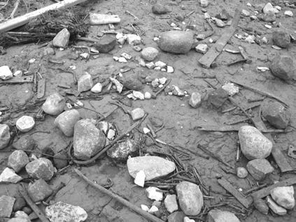 Rocks, wooden boards and a variety of artifacts in muddy ground.