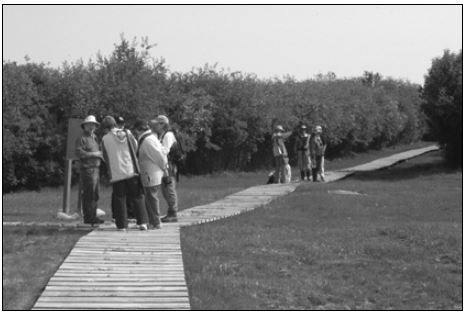 A group of five people on a boardwalk are in the foreground. In the background is a group of three people.