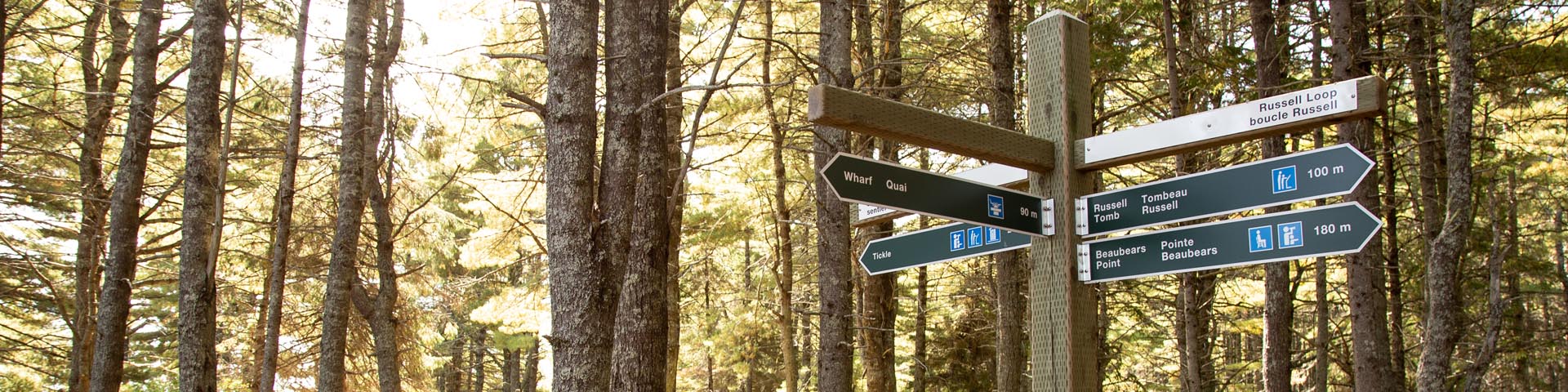 A directional sign in a trail surrounded by trees.