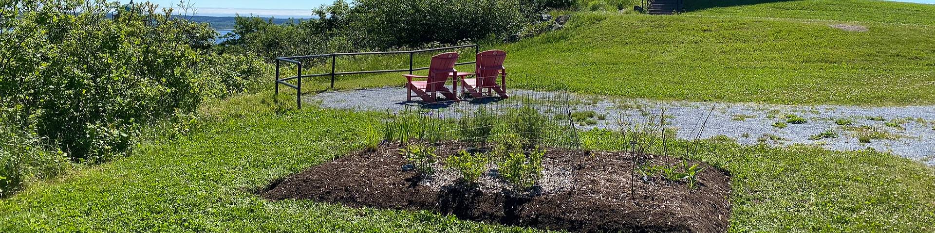 Un jardin des pollinisateurs