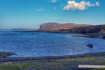 Muddy Cove