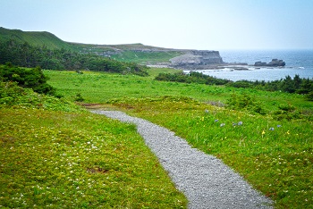 Phillip’s Garden trail head