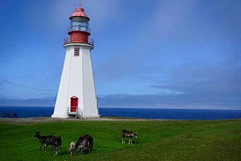 Point Riche Lighthouse