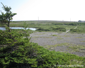 Landes de calcaire sur le sentier Dorset. © Parcs Canada/S. Stone