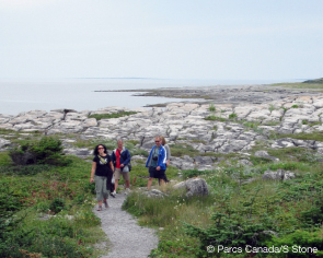 Tuckamore sur le sentier côtier. © Parcs Canada/S. Stone