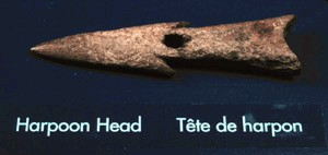 Head exhibit at Port au Choix Visitor Centre