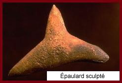 Épaulard sculpté
