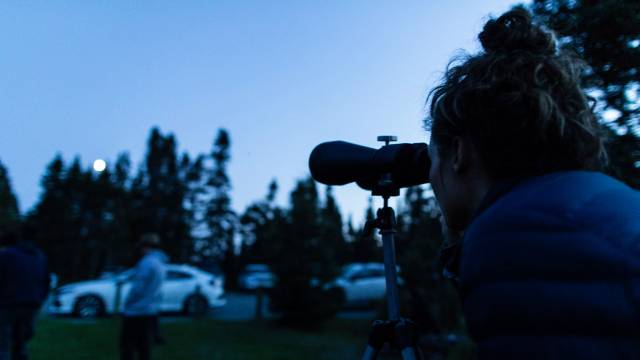 Une personne regarde la Lune, qui apparaît entre les arbres, à travers un appareil photo monté sur trépied.