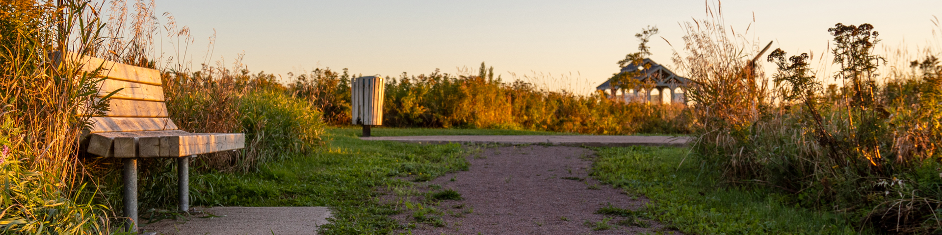 A gravel trail with a park bench and a picnic shelter in the distance