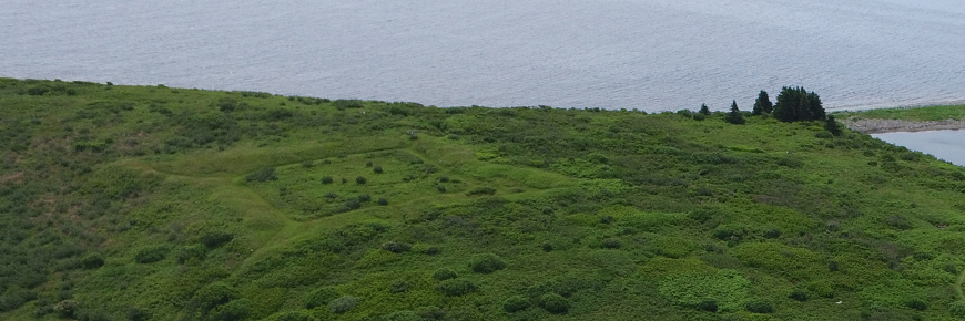 Canso Islands National Historic Site