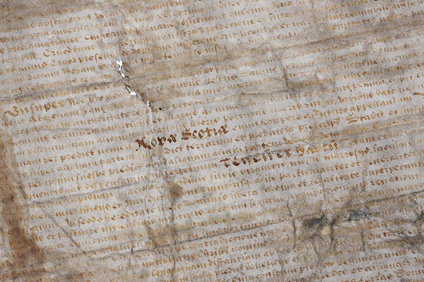 Close-up of 1621 Charter showing Nova Scotia written for the first time