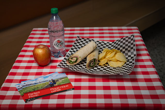Wrap, water, apple and chips.