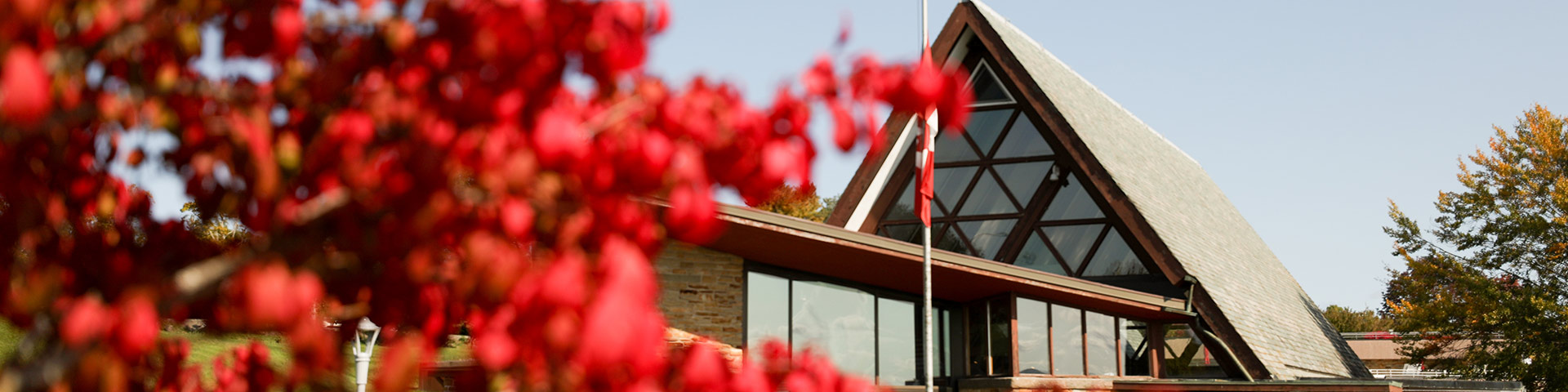 Un bâtiment à cadre se cache derrière des feuilles rouges