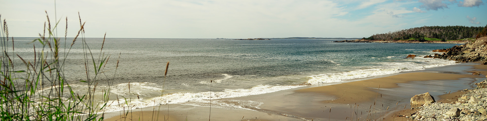 Une plage de sable par une journée ensoleillée avec de l'eau bleue, un paysage verdoyant à droite et de hautes herbes à gauche au premier plan.