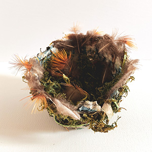 Swallow nest craft