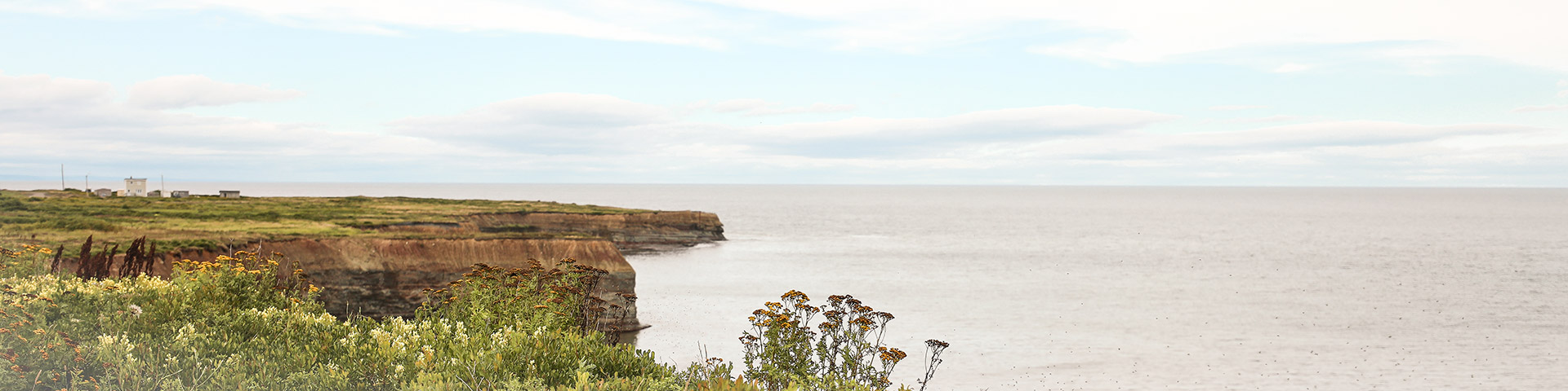 Sandstone cliffs by the ocean on a sunny day