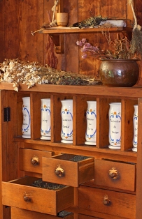 Hébert’s apothecary at Port-Royal