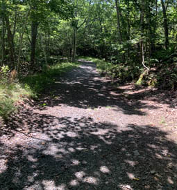 Chemin de pierres concassées à travers une forêt.