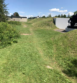 Sentier herbeux en pente.