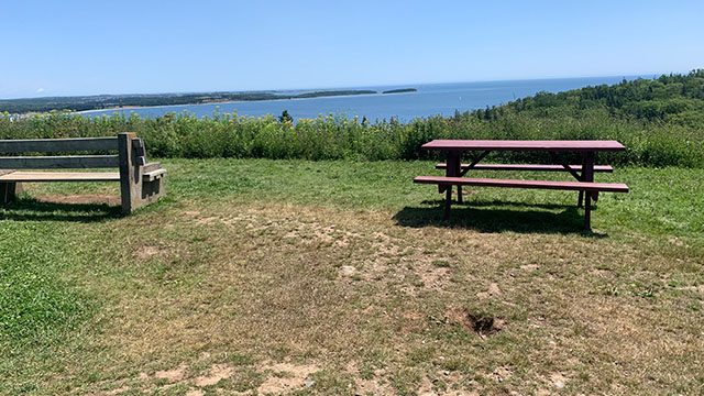 A bench and a picnic table on the grass with an ocean view.