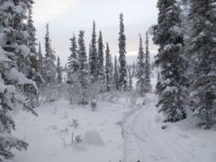 portage