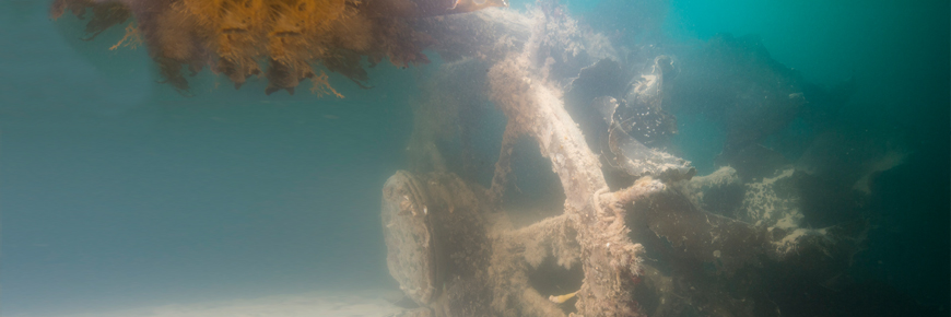 La roue d'un navire, sous l'eau.