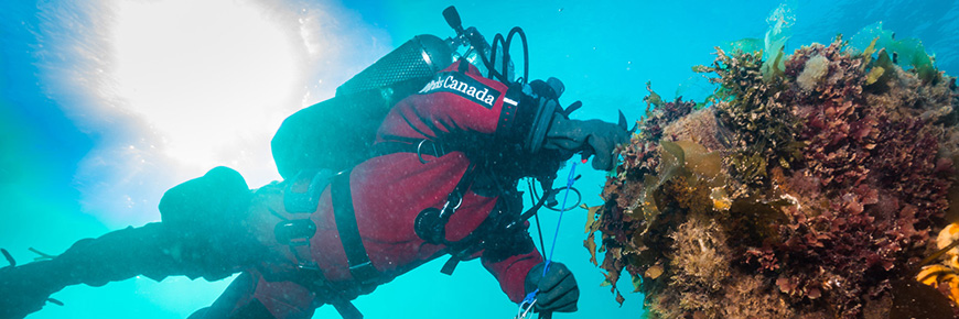 archéologue subaquatique de Parcs Canada plonge afin d’étudier l’épave du HMS Erebus   