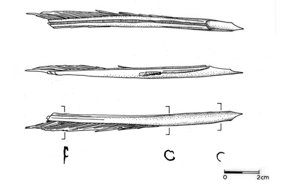 A line drawing of a feather quill 