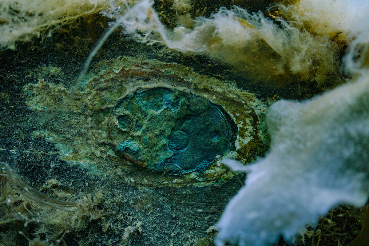 Close-up underwater photo of a hammock tag attached to a wooden beam in a submerged shipwreck.