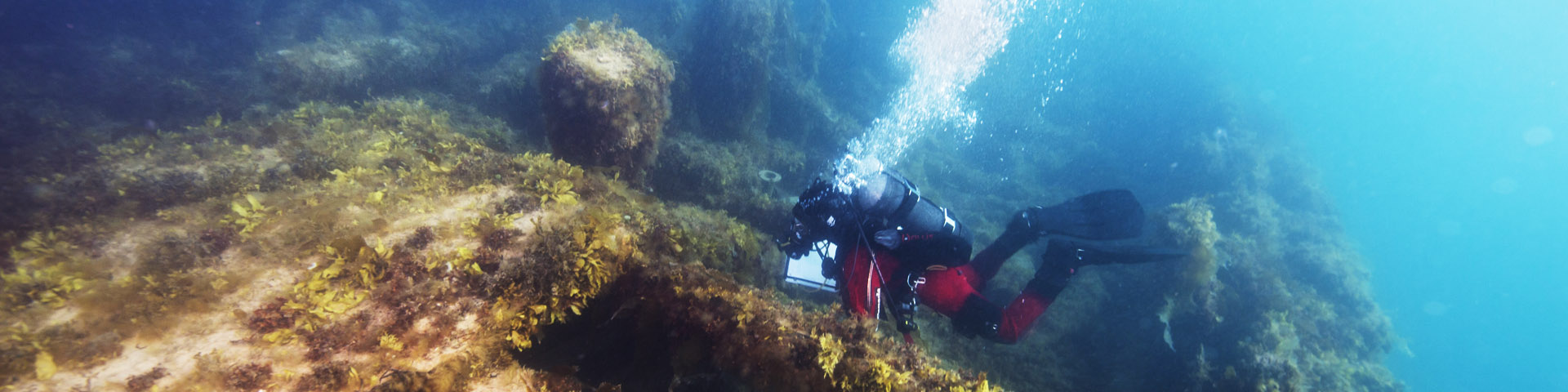 A scuba diver exploring the wreck of HMS Erebus.