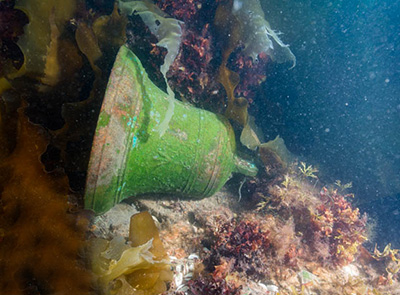 An underwater image of a green bell lying on its side, surrounded by seaweed.