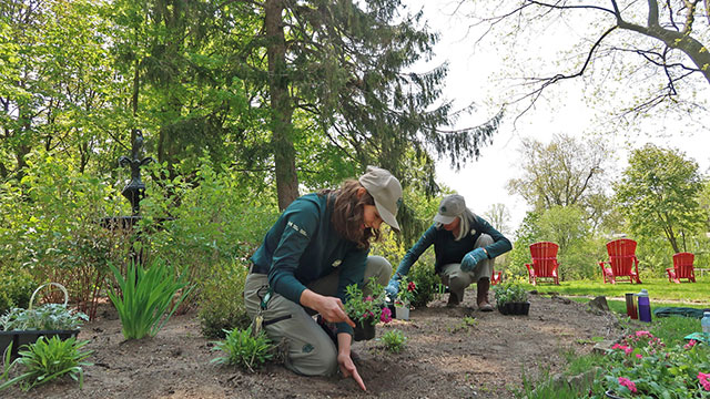 Deux membres du personnel plantent un jardin.