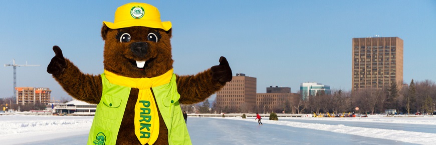 Parka skating on the Rideau Canal