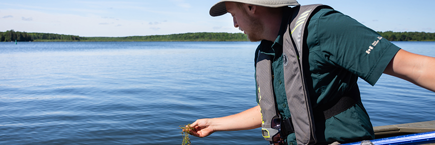 Un membre de l’équipe de Parcs Canada identifie la végétation aquatique.