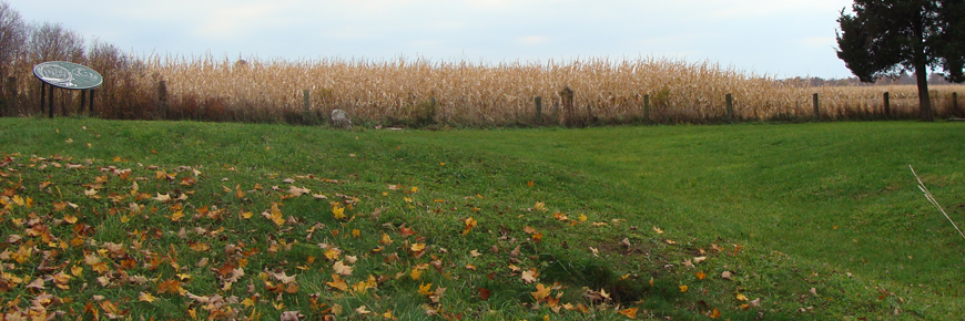 A landscape view of the grounds at Southwold Earthworks National Historic Site