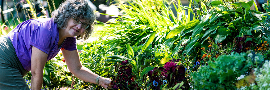 A member of the Horticultural Society works on one of the many flowerbeds at the Sault Ste. Marie Canal.