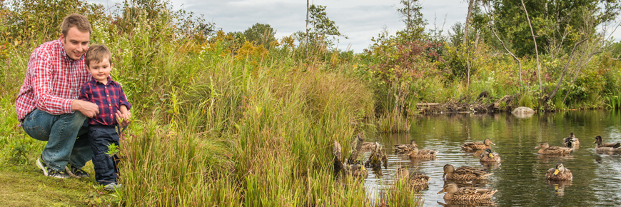 A man and child beside a duck pond.