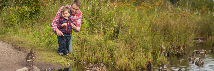 A man and a young boy looking at ducks in a stream.