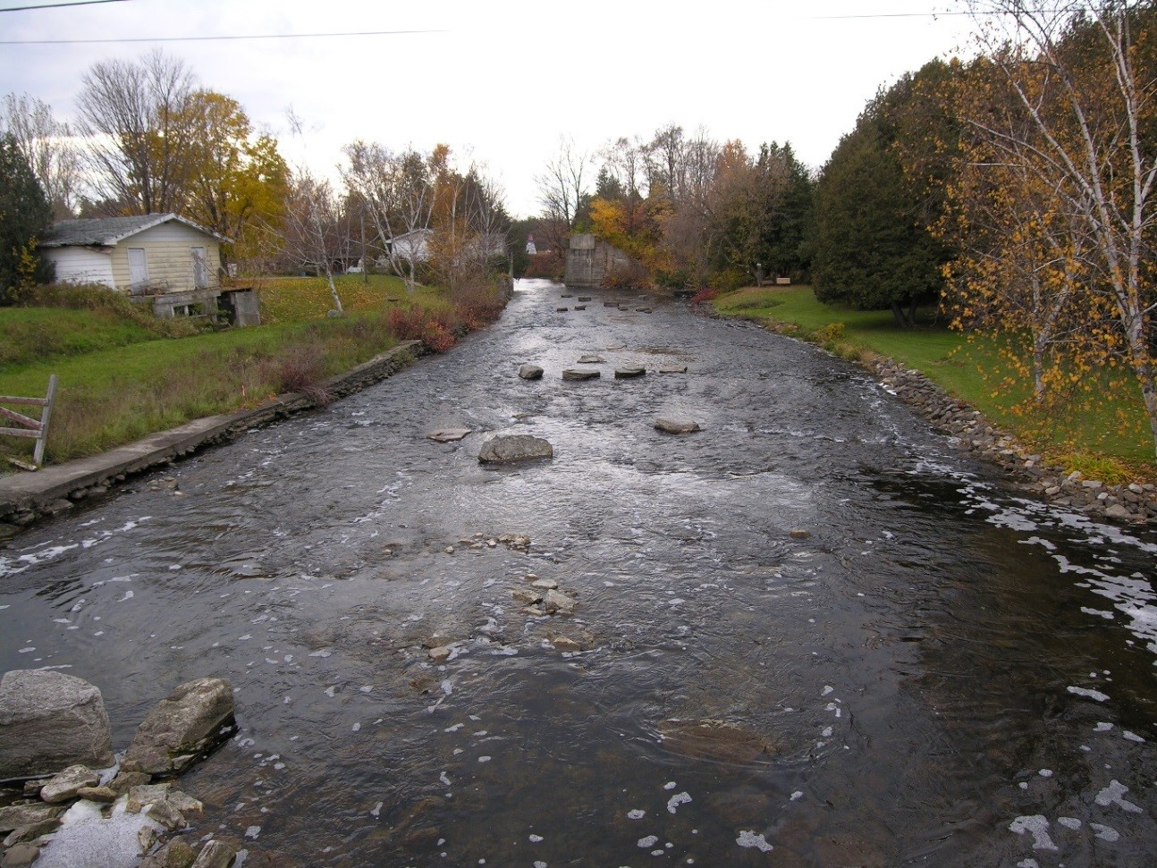 A flowing river