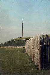 Palisade