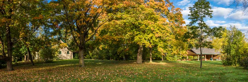 A landscape view of the grounds surrounding Woodside National Historic Site.