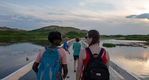 Four hikers, two in the foreground and two in the background, hike on the Greenwich Dunes Trail toward Greenwich Beach in PEI National Park.