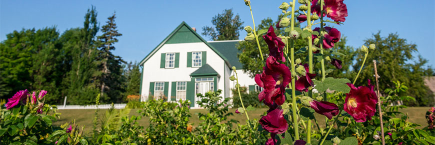 Maison blanche avec toit vert et volets derrière un jardin avec des fleurs violettes