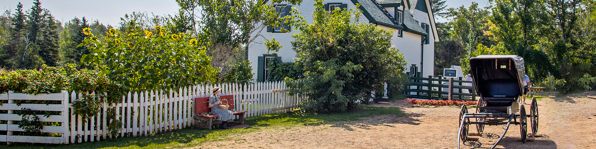 Anne est assise sur un banc rouge dans la cour de la maison aux pignons verts.  Les arbres sont pleins et verts et il y a une voiturette dans la cour. 