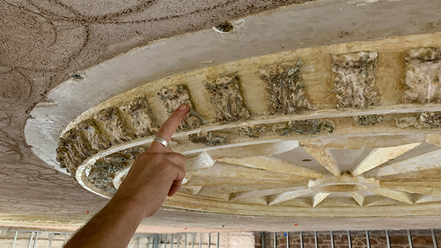 Site worker pointing to a plaster leaf on a ceiling medallion.