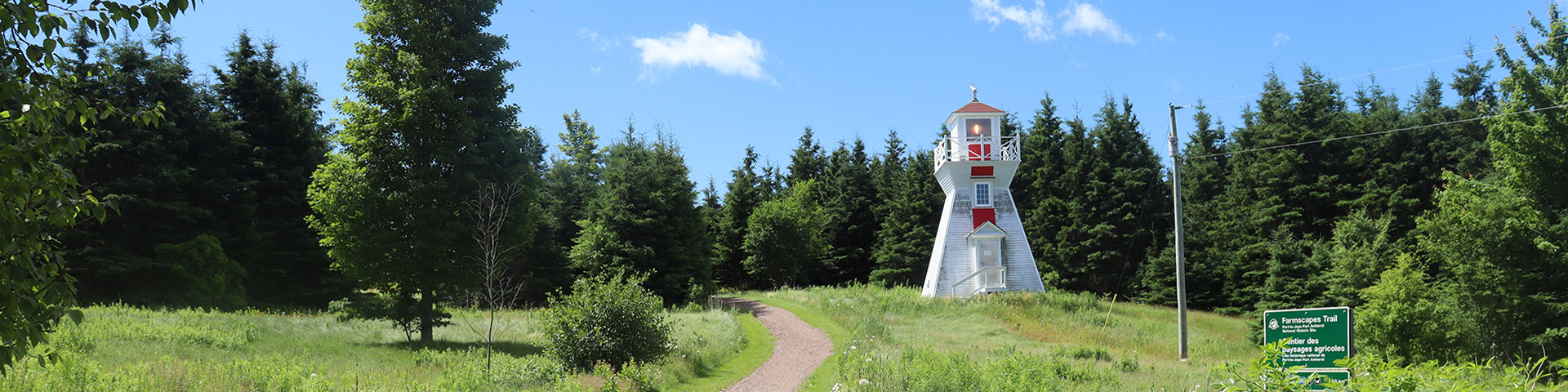 A gravel path leads through green fields towards a lush green wooded area with small white and red lighthouse. 
