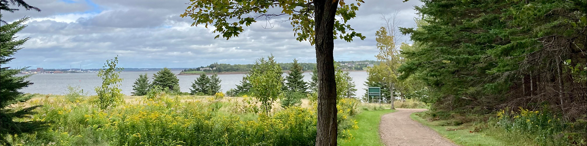 A gravel trail that runs between dark green trees and a green field towards a body of water on a cloudy day.