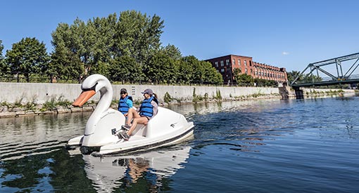 Pédalo cygne en location au Canal-de-Lachine